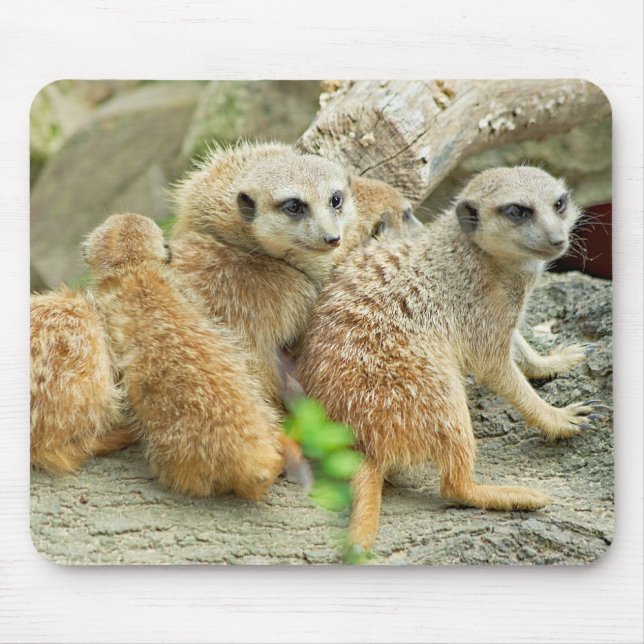 Family of meerkats - Mousepad (Front)