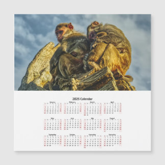Family of monkeys Magnetic Card calendar 2025