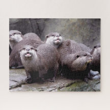 Family of Otters