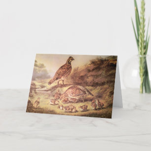 Family of Quail Greeting Card