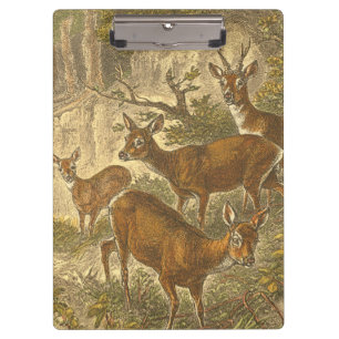 Family of Roe - Deers in a Forest Clipboard