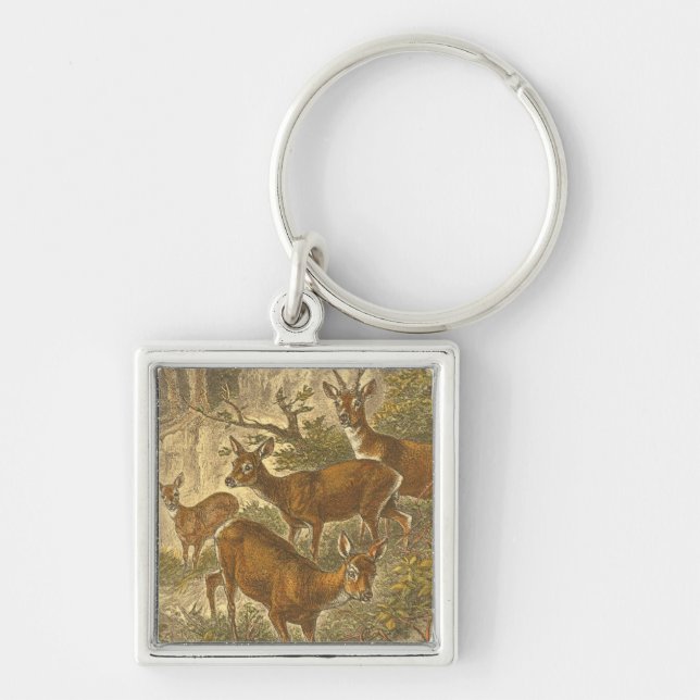 Family of Roe - Deers in a Forest Key Ring (Front)