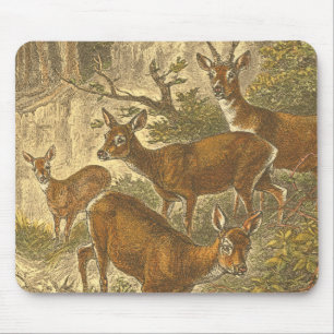Family of Roe - Deers in a Forest Mouse Mat