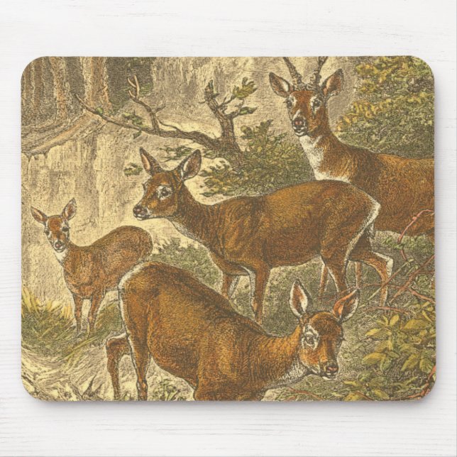 Family of Roe - Deers in a Forest Mouse Mat (Front)