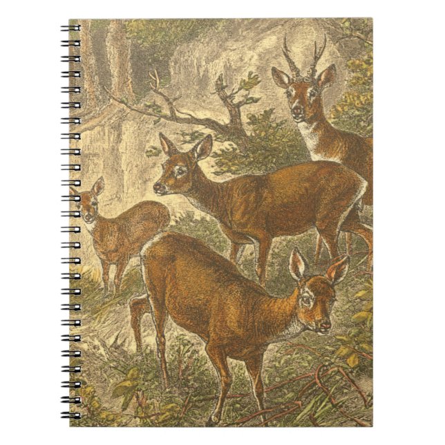 Family of Roe - Deers in a Forest Notebook (Front)