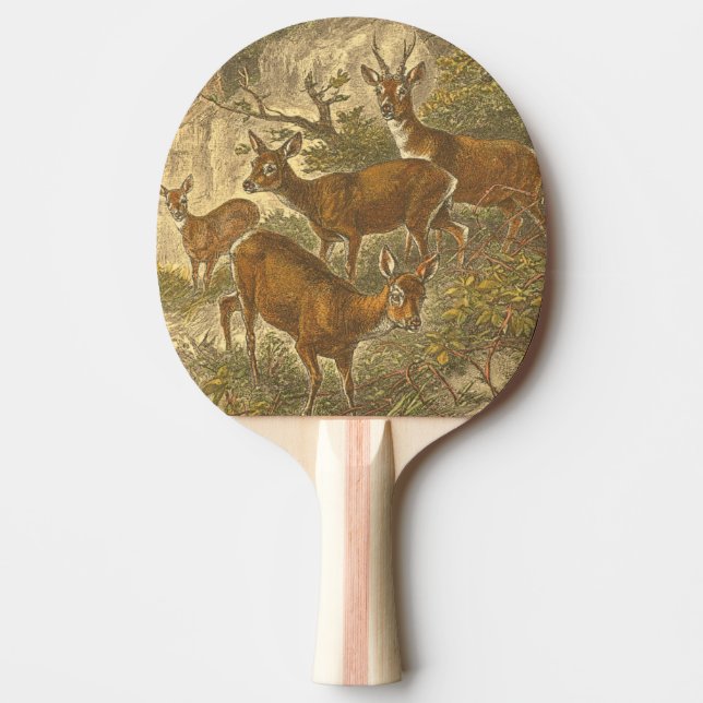 Family of Roe - Deers in a Forest Ping Pong Paddle (Front)