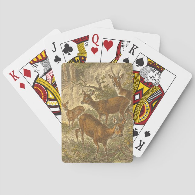 Family of Roe - Deers in a Forest Playing Cards (Back)