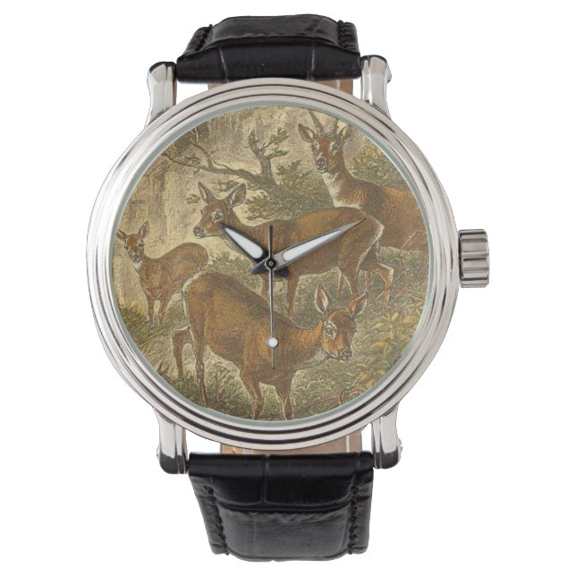 Family of Roe - Deers in a Forest Watch (Front)