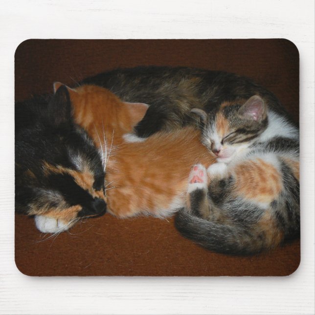 Family of sleepy kittens mouse mat (Front)