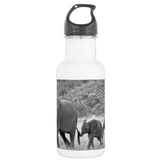 Family of South African elephants 532 Ml Water Bottle