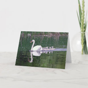 Family Of Swans Card