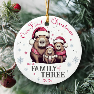 Family of Three Capybara Snowflake First Christmas Ceramic Tree Decoration