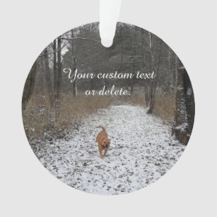 Family Pet - Create your own photo Ornament