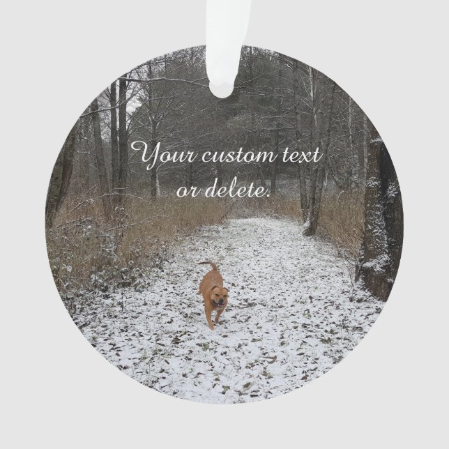 Family Pet - Create your own photo Ornament (Front)