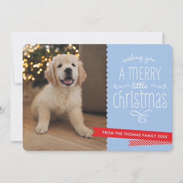 FAMILY PET modern whimsical typography red blue Holiday Card (Front)