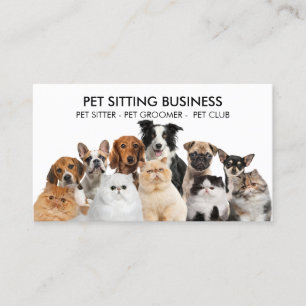 Family Pet Six Dogs Five Cats Business Card