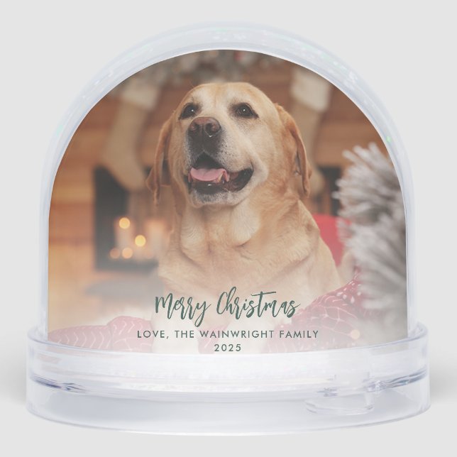 Family Photo First Christmas with Dog Custom Snowglobe (Back)