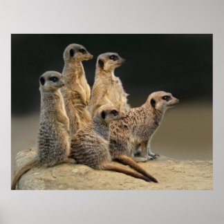 Family Portrait Print