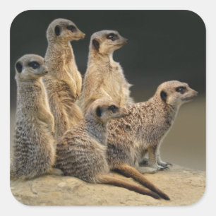 Family Portrait Sticker