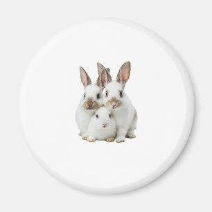 family rabbit magnet