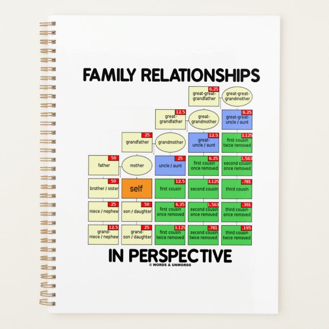 Family Relationships In Perspective Genealogy Planner (Front)