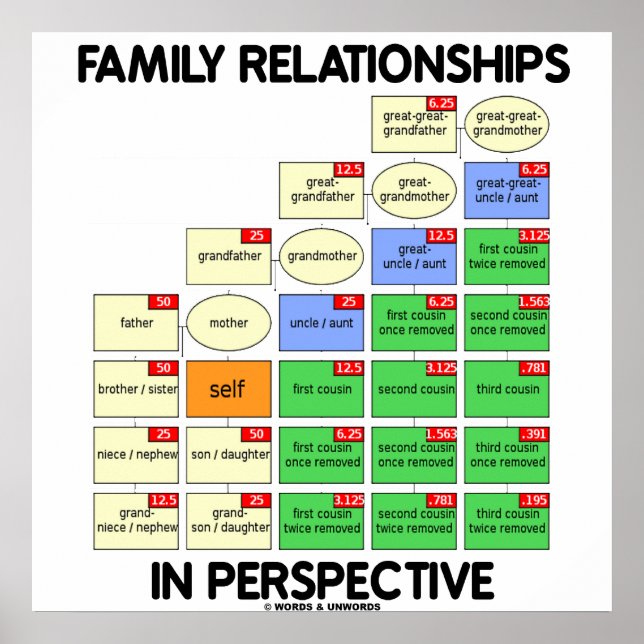 Family Relationships In Perspective (Reunion) Poster (Front)