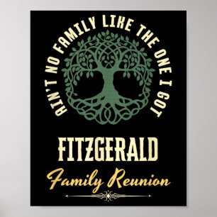 Family Reunion 2025 Matching Design - Fitzgerald  Poster