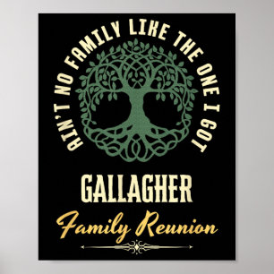 Family Reunion 2025 Matching Design - Gallagher Poster