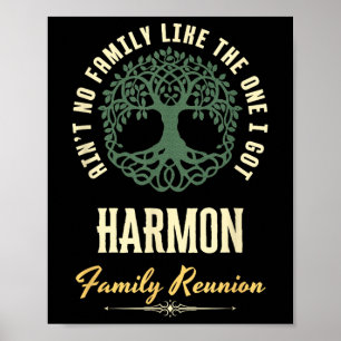Family Reunion 2025 Matching Design - Harmon  Poster