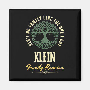 Family Reunion 2025 Matching Design - Klein  Magnet