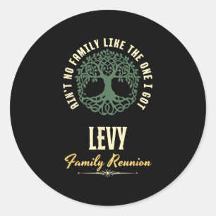 Family Reunion 2025 Matching Design - Levy Classic Round Sticker