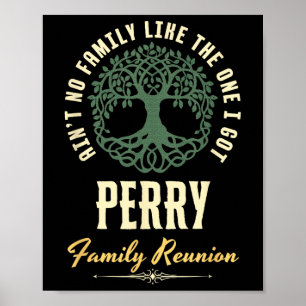 Family Reunion 2025 Matching Design - Perry Poster