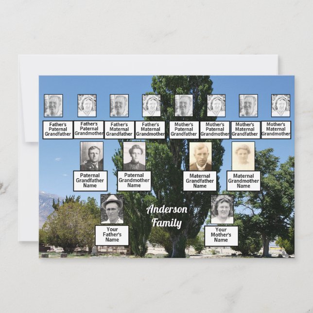 Family Reunion 3 Generation Photo of Row of Trees Invitation (Front)