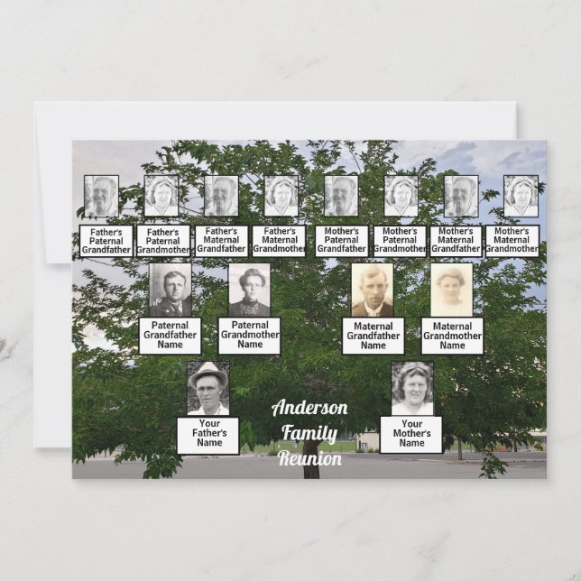 Family Reunion 3 Generation Summertime Tree Invitation (Front)