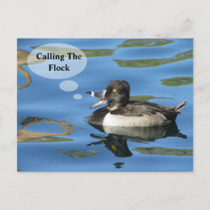 Family Reunion Calling the Flock Duck Announcement Postcard