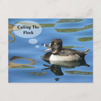 Family Reunion Calling the Flock Duck Announcement Postcard