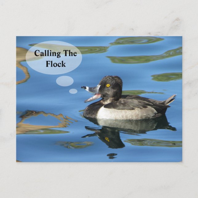 Family Reunion Calling the Flock Duck Announcement Postcard (Front)