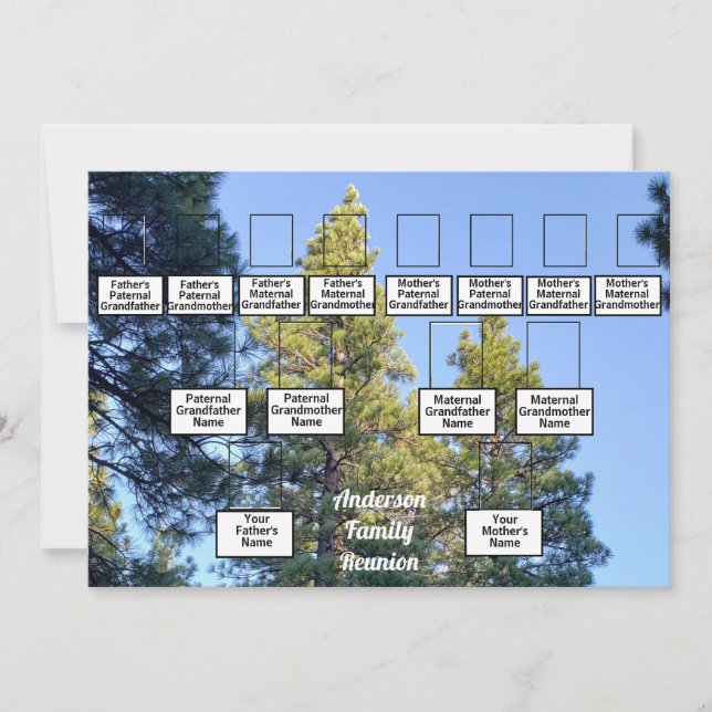 Family Reunion Family Tree Pine Tree Forest Invitation (Front)