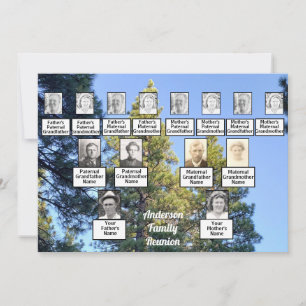 Family Reunion Family Tree Pine Tree Forest Invitation