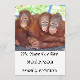 Family Reunion Funny and Cute Invitation