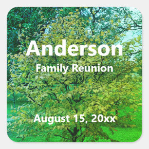 Family Reunion Green and White Name Date Tree Square Sticker