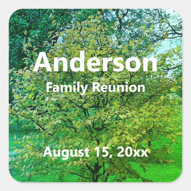 Family Reunion Green and White Name Date Tree Square Sticker (Front)