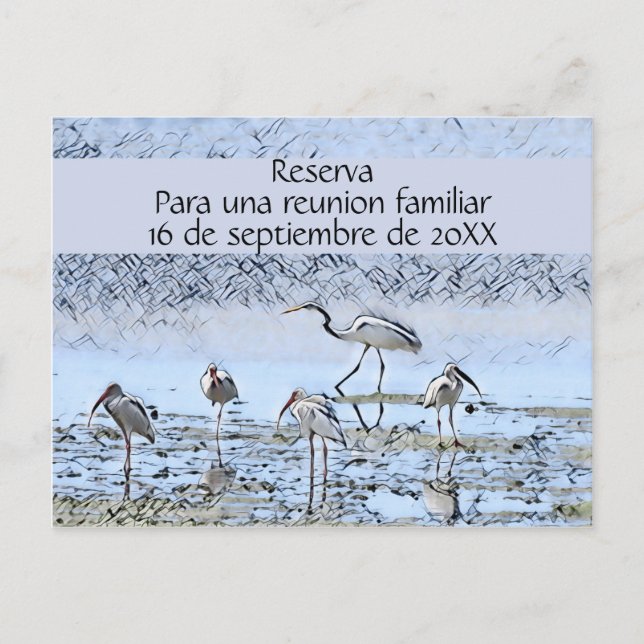 Family Reunion in Spanish Announcement Postcard (Front)
