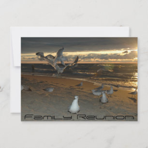 Family Reunion on the Beach Seagull Evening Sunset Invitation