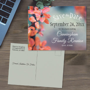 Family Reunion Save The Date Autumn Leaves Bokeh Postcard