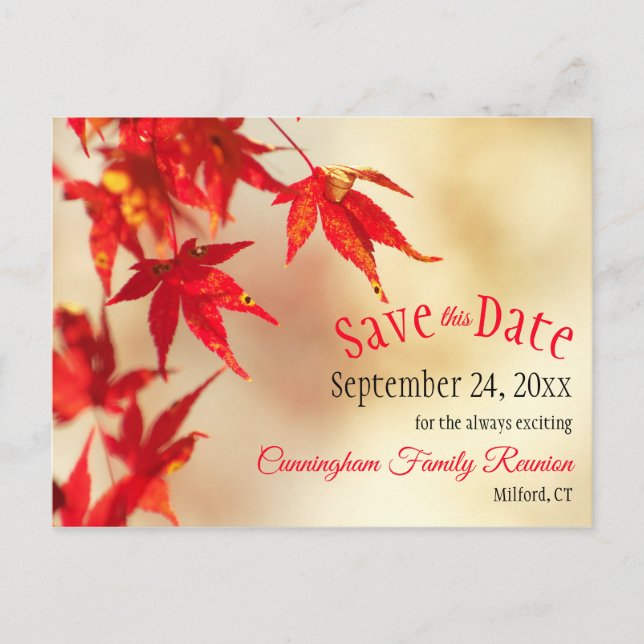 Family Reunion Save The Date Fall Red Leaves Bokeh Postcard (Front)