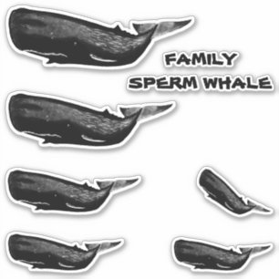 FAMILY SPERM WHALE