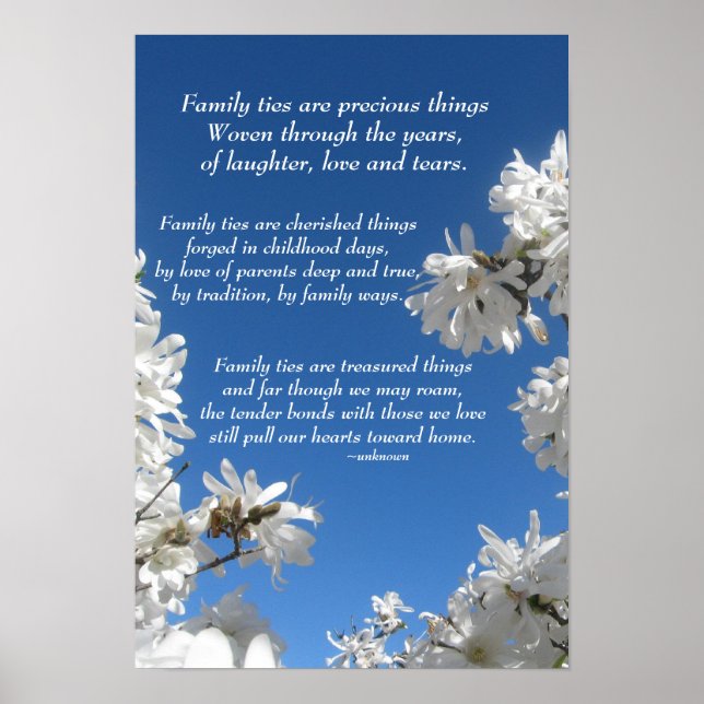 Family Ties Magnolia Poster (Front)