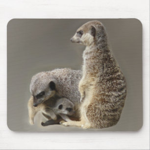 Family ties mouse mat