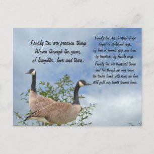 Family Ties Postcard